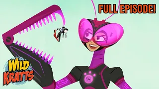 Praying Mantis | Season 3 | Full Episode | Wild Kratts