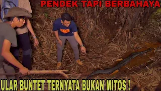 ULAR BUNTET PENUNGGU HUTAN BAMBU PANJI TEMUKAN DI DEKAT SUMUR TUA