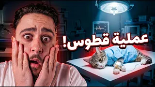 يوم عملية قطوس! 🏥😿