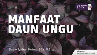🔴[LIVE] MANFAAT DAUN UNGU || SHINSE. SYAIBANI MUJIONO, S.Sy. M.Si.