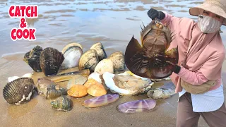 Rahasia di pantai nelayan‼️ Banyak kejutan di bawah pasir pantainya