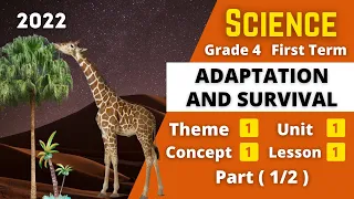 SCIENCE | Grade 4 | Adaptation and Survival #1 | Unit 1 - Concept 1 - Lesson 1