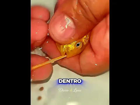 🐟❤️ Questa mamma pesce ha SALVATO i suoi piccoli.