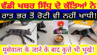 sidhu moosewala ਦੇ ਜਾਣ ਤੋਂ ਬਾਅਦ ਨਹੀਂ ਖਾਧਾ ਕੁੱਤਿਆਂ ਨੇ ਖਾਣਾ | ਸੁੰਨੀ ਕਰਗਿਆ ਹਵੇਲੀ ਅਤੇ ਟਰੈਕਟਰ