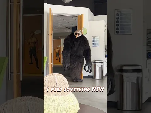 A Letter from the Demon Monkey