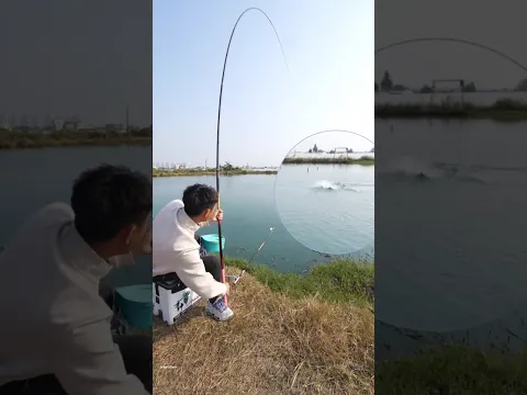 ₹5000 की एक मछली? 🎣 किस्मत ने दिया बड़ा धोखा! #amazingfacts #story
