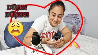 ALLAHIM NEYDİ GÜNAHIM ? DÜŞÜP GELEN GELENE
