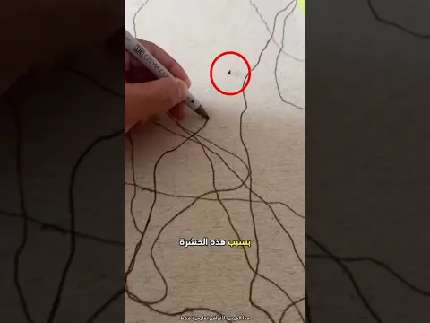 النهايه راح تصدمك😱