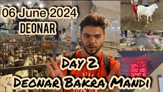 Day 2 | Today Full Update | Deonar Bakra Mandi | 06-06-2024 | Deonar | Mumbai | 2024 | Bakramandi |