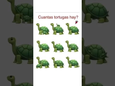 Cuántas Tortugas hay?