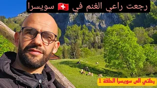 تلاقيت راعي الغنم في سويسرا حبيت نخدم معاه..
