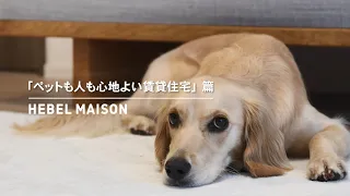 HEBEL MAISON｜ペットが幸せ、というしあわせ。