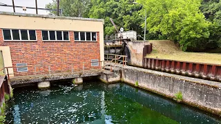 Was lebt in dieser verlassenen Schleuse mitten im Wald!?