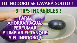 🔝 simplifica los OFICIOS DE TU CASA  Y que el INODORO SE LAVE SOLO / Dulce y Natural.