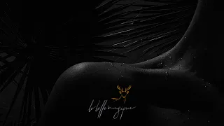 Swedish House Mafia & Connie Constance – Heaven Takes You Home (feat. Connie Constance) #Lyrics