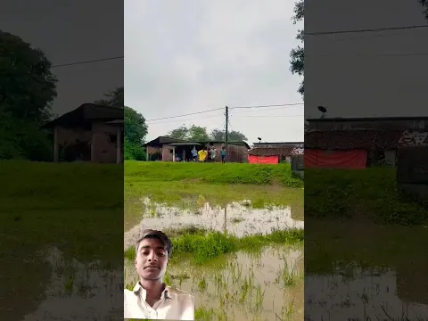 #TIMELAPSE; START to FINISH Alone BUILDLOG Cabin (Wooden House), HowTo Build Wooden Cabin, Surviva💯