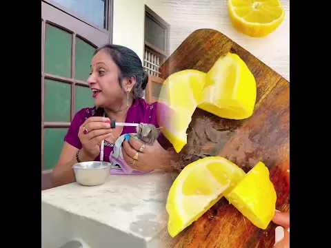 Cute Cat Ke Liye Gift ~ Sujal Thakral #shorts #ytshorts