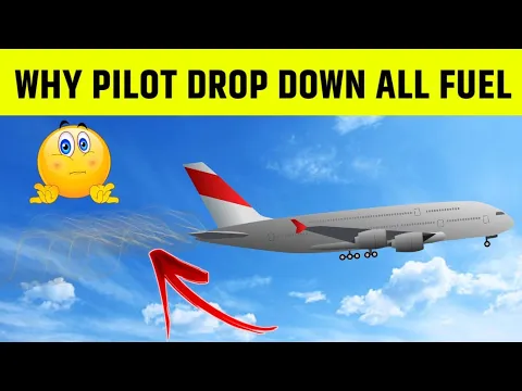 Plane Landing से पहले तेल क्यों गिरा दी जाती है ? | What is Fuel Dumping ? | FactLez | #shorts