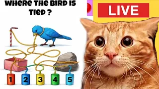99% Fail This Puzzle