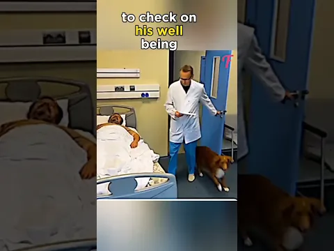 Dog shows care for his Dad 🐶❤️