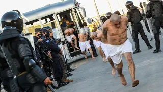 Masivo Traslado de Pandilleros a la Megacárcel de El Salvador | Parte 1 (Feb. 2023)