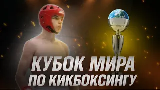 Кубок Мира по кикбоксингу в Венгрии