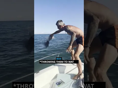 His Last Swim With His Dog🥺