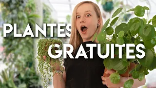 Comment avoir PLEIN de plantes GRATUITEMENT?