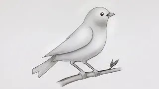 Simple Bird Drawing 🕊 | Easy Bird Pencil Sketch and Shading #drawing