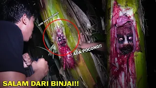Jangan Pukul Pohon Pisang Ada Penuggu Pocong Tinggal Di Dalamnya!! Part2