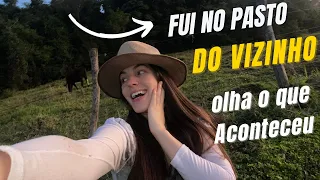 Fui no Pasto do Vizinho🐂 #agro #agrogirls #vidanocampo