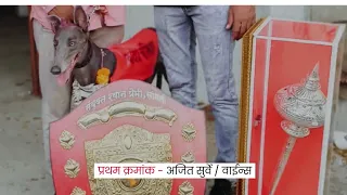 बावडा मैदान 🥇🥈🥉🏅॥ श्वान शर्यत || महाराष्ट्र राज्य श्वान शर्यत ॥ shorts