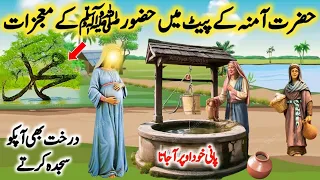 Hazrat Muhammad SAW Ki Paidaish Se Pehle Ke Mojizat | Syeda Amina R.A Ki Kahani