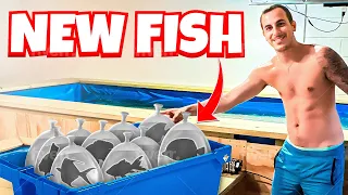 I Drove 8 Hours for These FISH!! 10+ NEW FISH