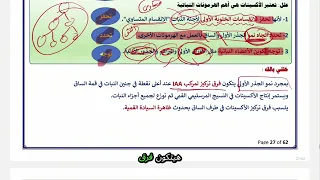 الاوكسينات