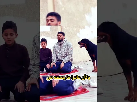 لم يستطع الكلب الاقتراب من المصلي😯#animals#حيوانات #shortvideo #youtube #ytshort#dog #youtubeshorts