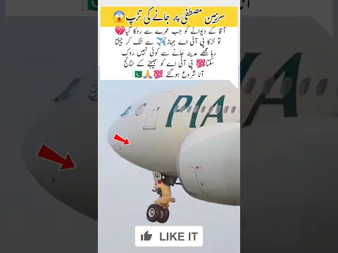 Craziest passenger at airport, PIA flight to madina #trending #aviation #airport #pia #airlines #yt