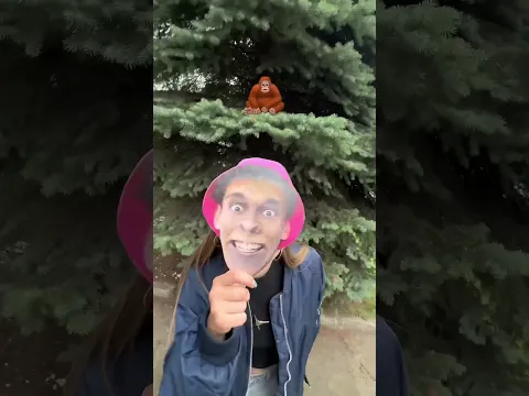 Дисс на ДимДимыча, как вам? 🤡🩷