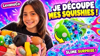 Je découpe mes SQUISHIES et je transforme TOUT en SLIME ! 😱