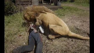 Day 4: The girl survives in the forest and catches 10,000 animals to survive