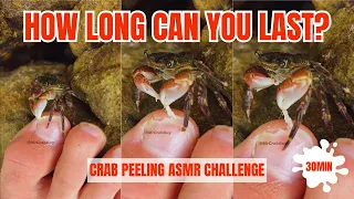 [30 MIN LOOP] CRAB PEDICURE ASMR VIDEO | Satisfying ASMR Sounds | ASMR Game | PEELING ASMR