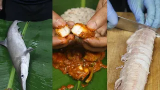 Learn How to Make Baby Shark Curry in Just 1 Minutes! | Best Seafood Recipe