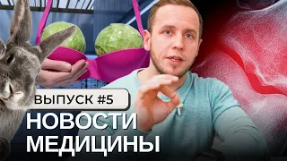 Капуста от боли в суставах НАУКА доказала | Мед. новости | Ортопедические матрасы – это пустышка