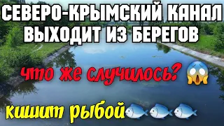 🔴Что творится с Северо-Крымским каналом⁉️Переполнен и выходит из берегов.Затопило задвижки гидроузла