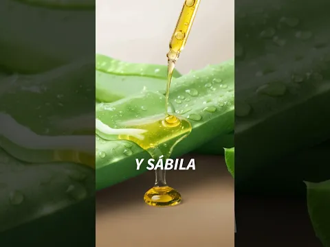 Nueva Línea capilar Savilé con Sérum de Aminoácidos y Sábila, el cambio que tu cabello necesita.