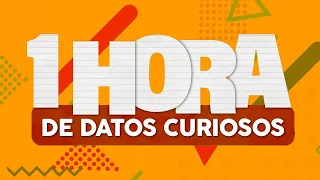 1 HORA de DATOS CURIOSOS⏰🤯