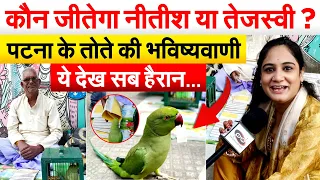 कौन जीतेगा NITISH या TEJASHWI ? पटना के तोते की भविष्यवाणी ये देख सब हैरान…