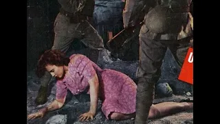 Sex Slaves - Japanese Military Mistreatment of Dutch Women Prisoners