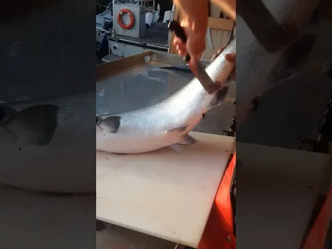 How Two Pros Fillet Salmon — Watch the Difference! #fish #shorts #salmon #knifeskills #seafood