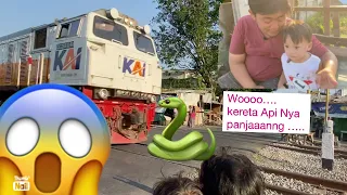 LIHAT KERETA API TUT..TUT..TUT.. | YUBI LIHAT KERETA API |🚂KAI | Nasya yubi